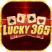 365 Lucky game